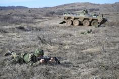 Тактичка увежбавања и бојева гађања јединица Копнене војске