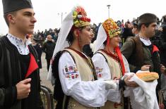 Members of the Serbian Armed Forces swimming for the Holy Epiphany Cross across Serbia