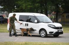 Министар Вулин: Војска Србије развија све своје способности