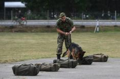Minister Vulin: Serbian Armed Forces are developing all capabilities