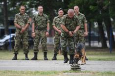 Minister Vulin: Serbian Armed Forces are developing all capabilities