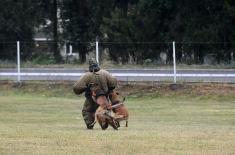 Minister Vulin: Serbian Armed Forces are developing all capabilities