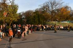 Gun salute to mark First World War Armistice Day