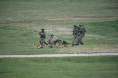 Serbian Armed Forces and Police conduct Joint Live Fire Exercise “Response 2021“ at “Orešac“ and “Pasuljanske livade“ training grounds