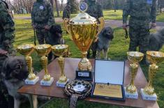 Изузетни резултати Центра за обуку паса на државном првенству