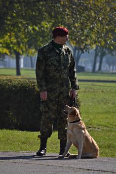 Joint session of the Collegium of Minister of Defence and Chief of General Staff of the Serbian Armed Forces 