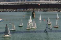 23rd "Zoran Radosavljević" Memorial Regatta held