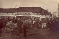 Живот у окупираној Србији