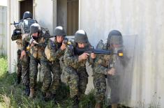 Multinational exercise “Platinum Wolf 21“