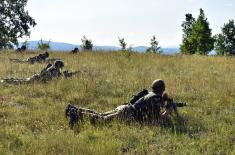 Multinational exercise “Platinum Wolf 21“