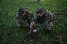 Military Academy Cadets in a greening campaign