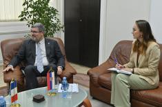 State Secretary Starović meets with French ambassador Cochard