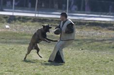 Minister Stefanović visits Dog Training Centre in Niš