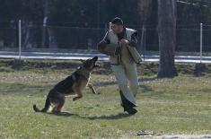 Minister Stefanović visits Dog Training Centre in Niš