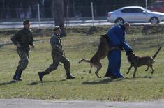 Minister Stefanović visits Dog Training Centre in Niš