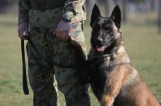 Minister Stefanović visits Dog Training Centre in Niš