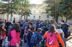 Open Day in Vranje