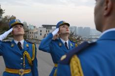 Gun salute to mark Armistice Day