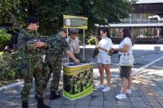 Promotion of voluntary military service in Valjevo