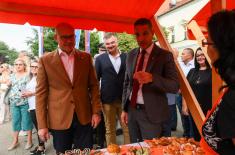 Minister Vučević attends event in Kikinda