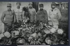 Страдање Срба у Великом Међеру и Јиндриховицама