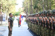 Minister Vulin: The Serbian Armed Forces is an army of peace