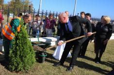 The Tree of Peace planted at the Memorial Complex “Šumarice” near Kragujevac