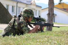 Minister Vulin: The Serbian Armed Forces is an army of peace