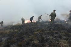 The Serbian Armed Forces helping to put out fires in the municipality of Trgovište