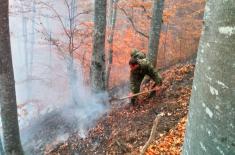 Војска Србије наставља да помаже у гашењу пожара