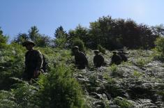 Ministar Vulin: Pripadnici 72. brigade za specijalne operacije su u stanju da savladavaju najteže prepreke i uvek su na raspolaganju svojoj zemlji 