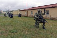 Učešće jedinica Vojske Srbije na vežbi u Nemačkoj 