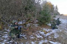 Учешће јединица Војске Србије на вежби у Немачкој 