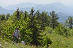 „Tara safari“ - nova atrakcija Vojne ustanove „Tara“