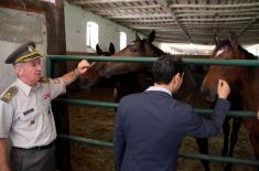 Minister Vulin: Armed Forces renews Karađordjevo stud farm with its own money, knowledge and people