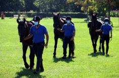 Cavalry tradition returns to the Serbian Armed Forces 