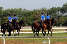 Ministar Vulin: Obnavljanje Konjičkog voda, poštovanje tradicije i očuvanje konjičkog sporta 