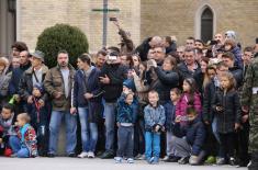 Promenade parade and military drill in Novi Sad