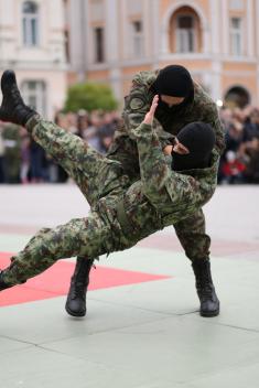 Promenade parade and military drill in Novi Sad