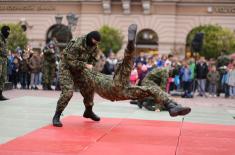 Promenade parade and military drill in Novi Sad