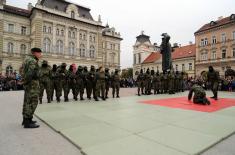 Promenade parade and military drill in Novi Sad