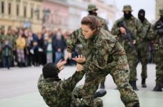 Promenade parade and military drill in Novi Sad