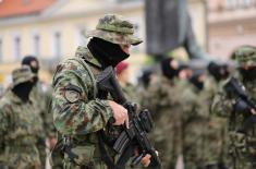 Promenade parade and military drill in Novi Sad