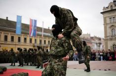 Promenade parade and military drill in Novi Sad