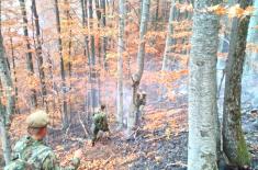 Војска Србије наставља да помаже у гашењу пожара