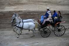 First cups to Karađorđevo horse farm