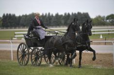 First cups to Karađorđevo horse farm