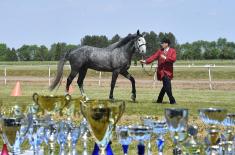 Cavalry tradition returns to the Serbian Armed Forces 