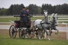 First cups to Karađorđevo horse farm