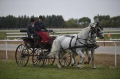 First cups to Karađorđevo horse farm